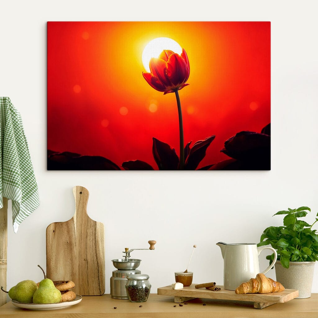 Red tulip with the sun behind it Red tulip with the sun behind it