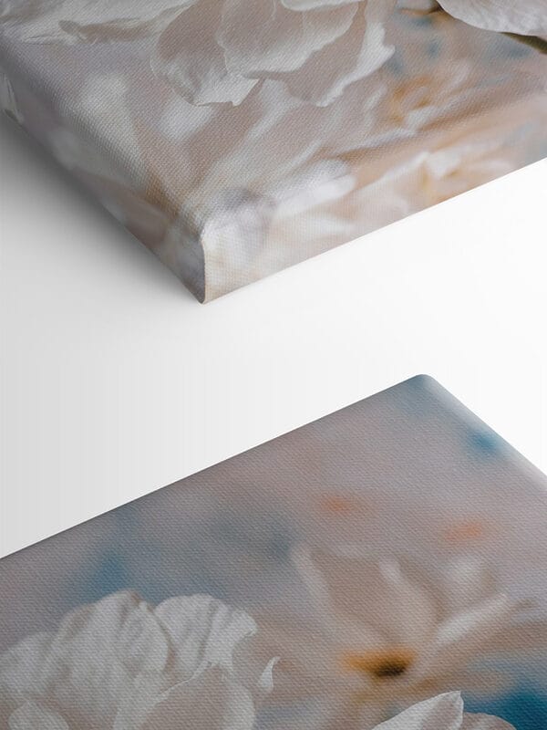 Delicate petals, nature's soft touch Delicate petals, nature's soft touch