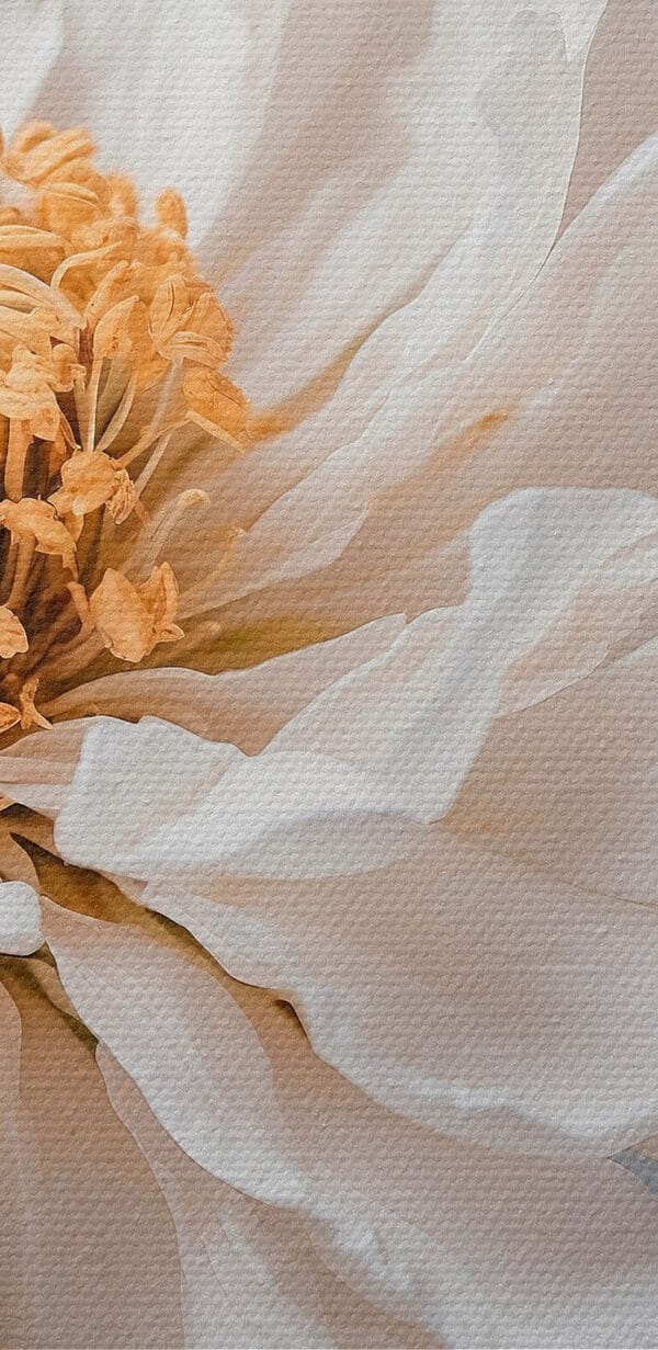 Delicate petals, nature's soft touch Delicate petals, nature's soft touch