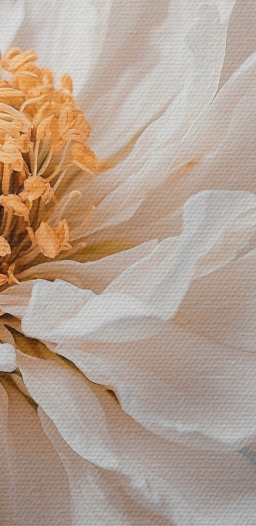 Delicate petals, nature's soft touch Delicate petals, nature's soft touch