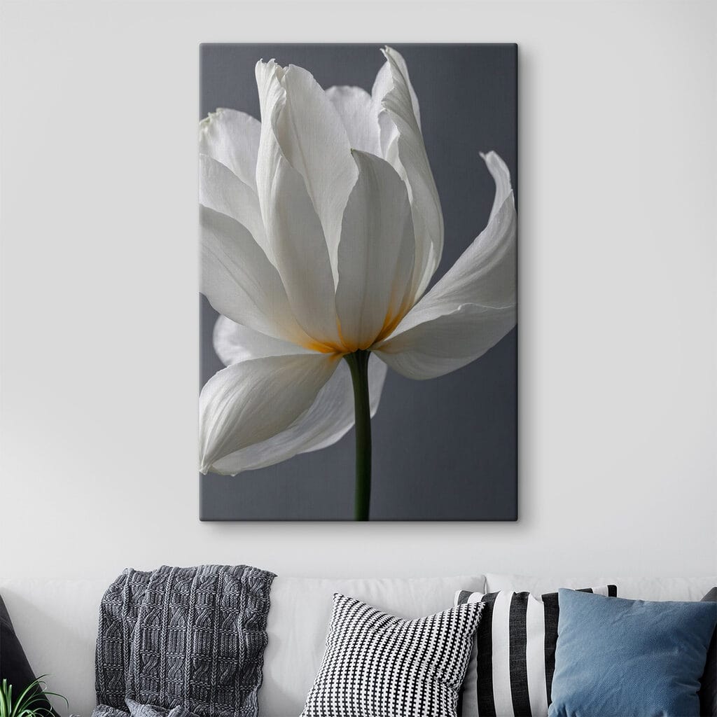 Delicate petals in soft hues