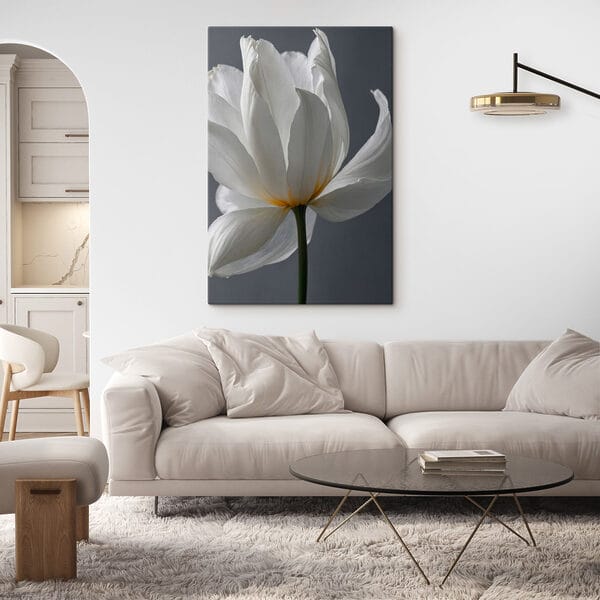 Delicate petals in soft hues