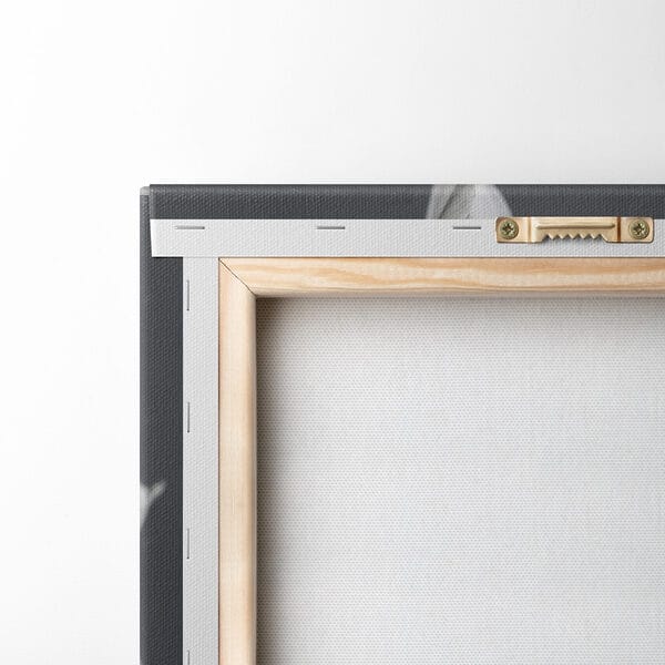 Delicate petals in soft hues