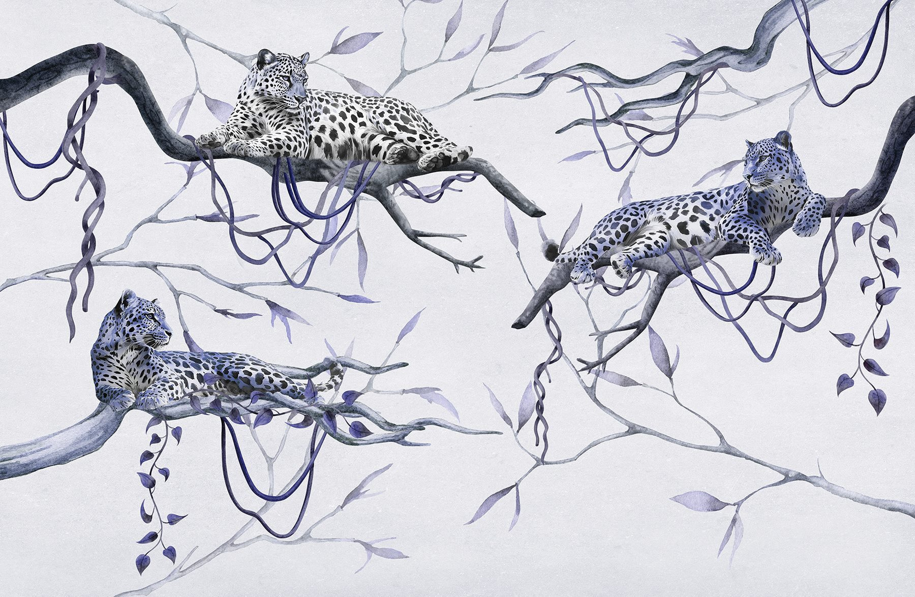 Group of leopards lying on branches
