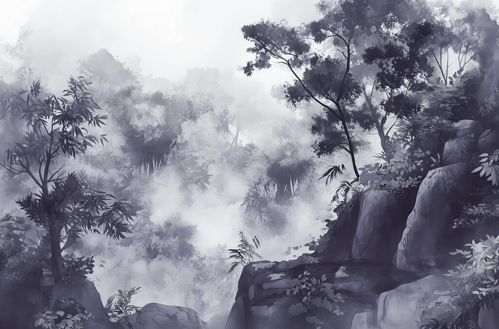 Foggy forest with trees and rocks