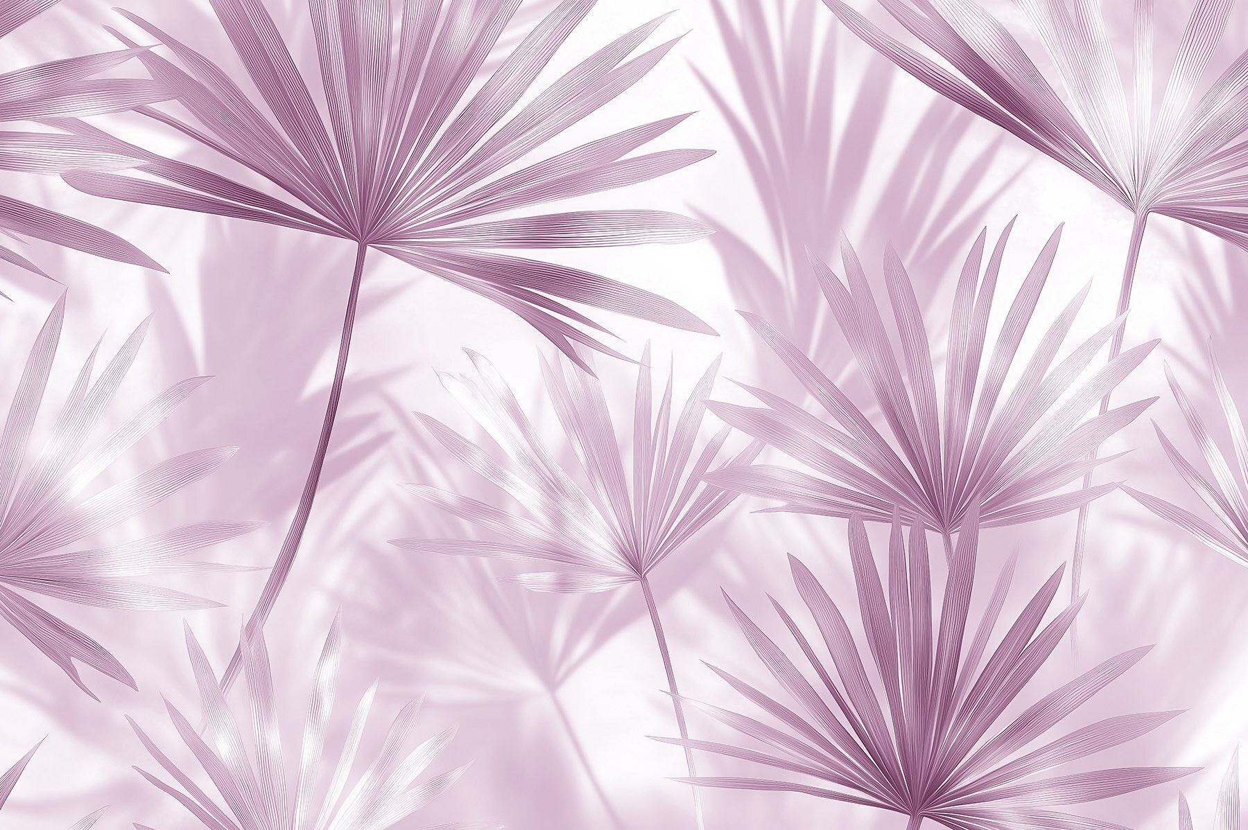 Soft pastel leaves creating gentle shadows