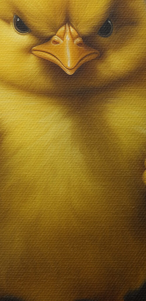 Yellow chick standing on a rock