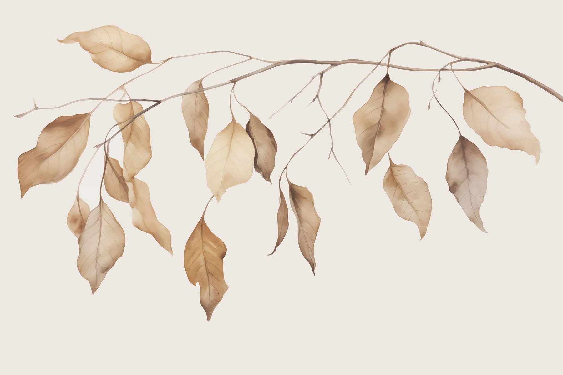 Branch with brown leaves