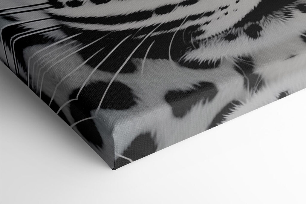 Striking beauty in black and white