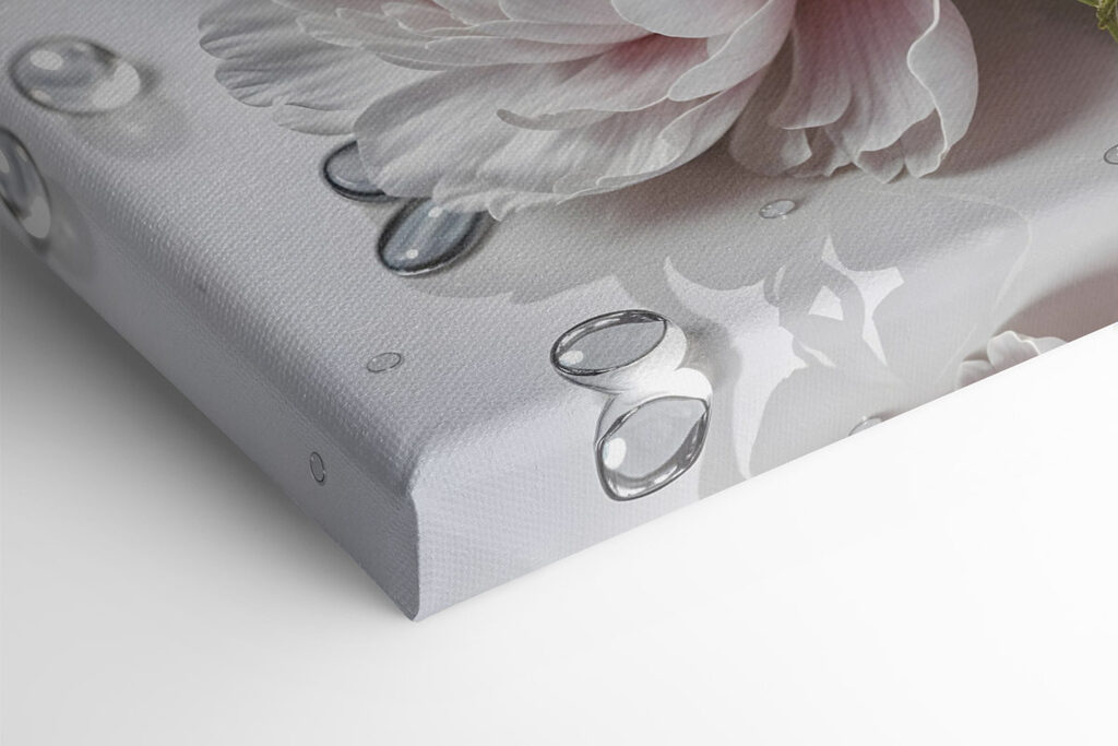 Group of pink flowers