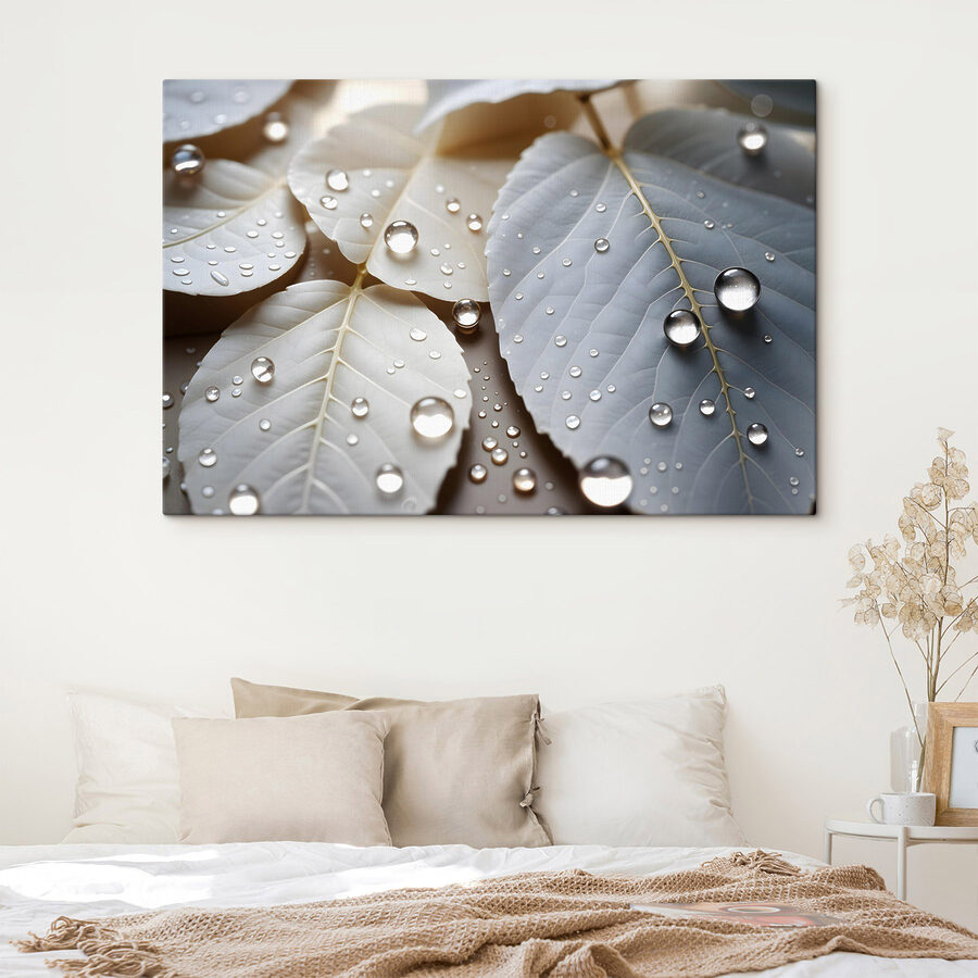Nature's delicate droplets on leaves Nature's delicate droplets on leaves