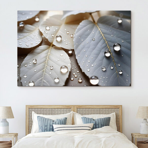 Nature's delicate droplets on leaves Nature's delicate droplets on leaves