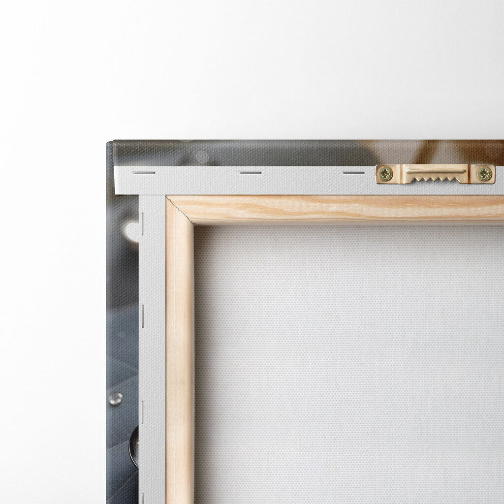 Nature's delicate droplets on leaves