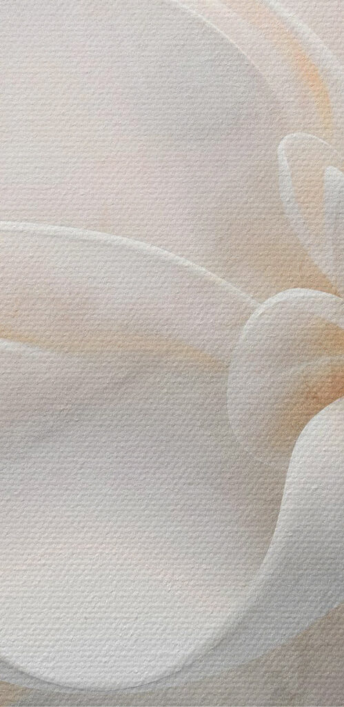 Delicate layers of floral beauty Delicate layers of floral beauty