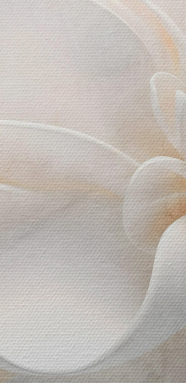 Delicate layers of floral beauty Delicate layers of floral beauty