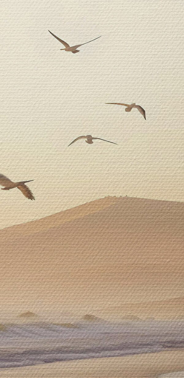 Birds flying over a beach Birds flying over a beach
