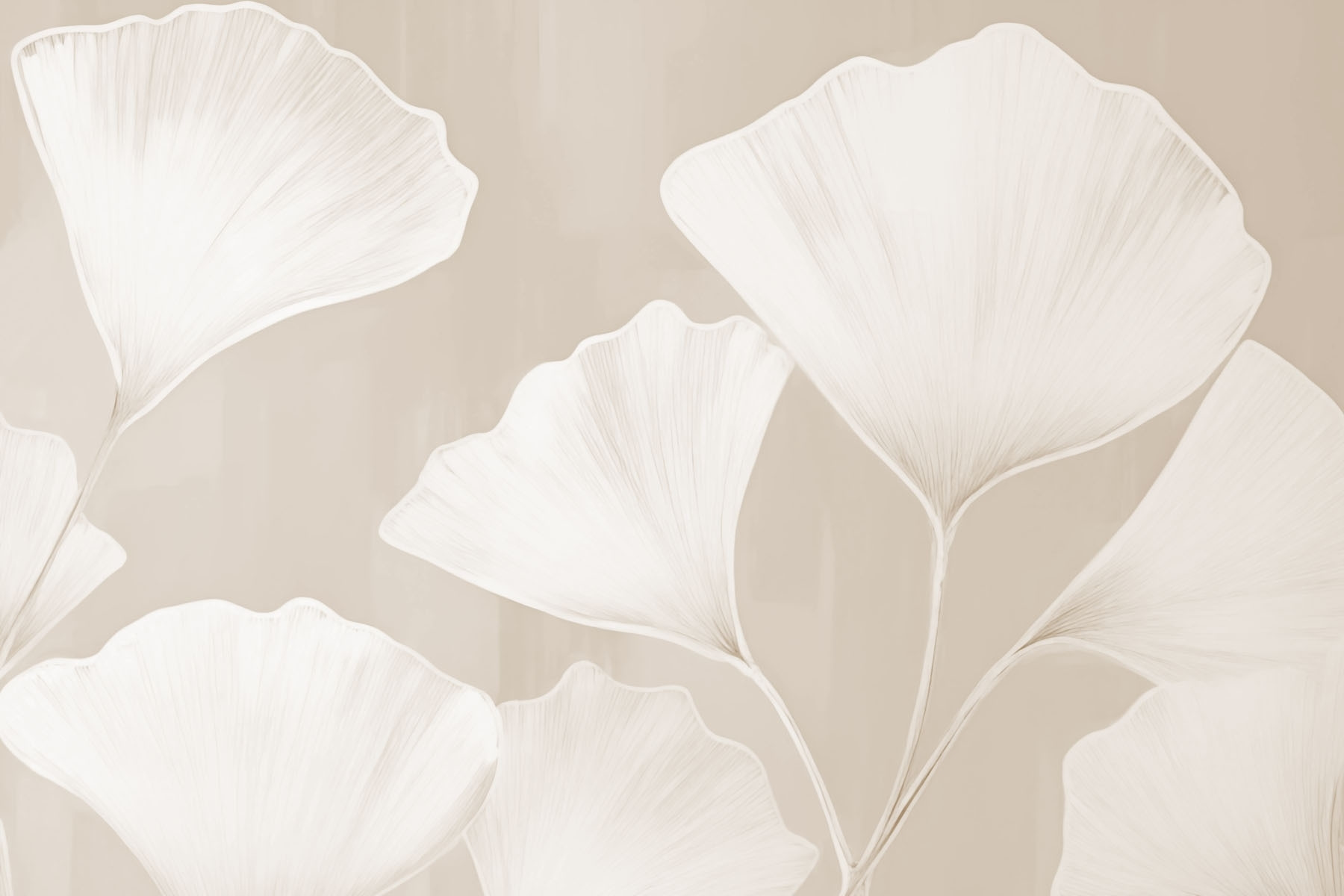 Delicate leaves on a neutral background