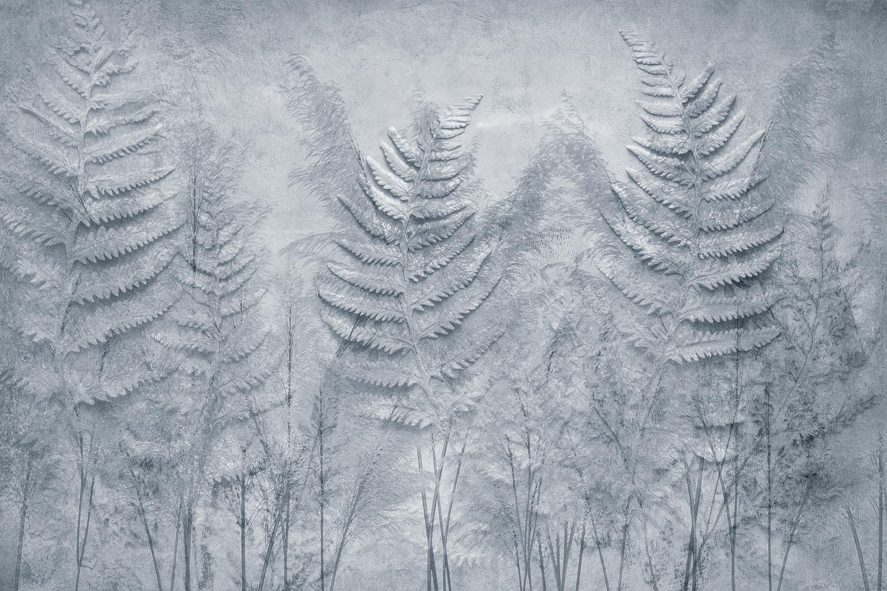 Group of fern leaves