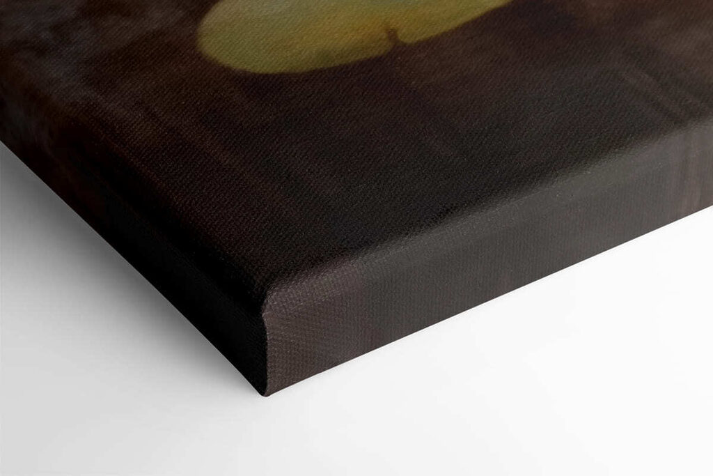 Water lily flowers and lily pads