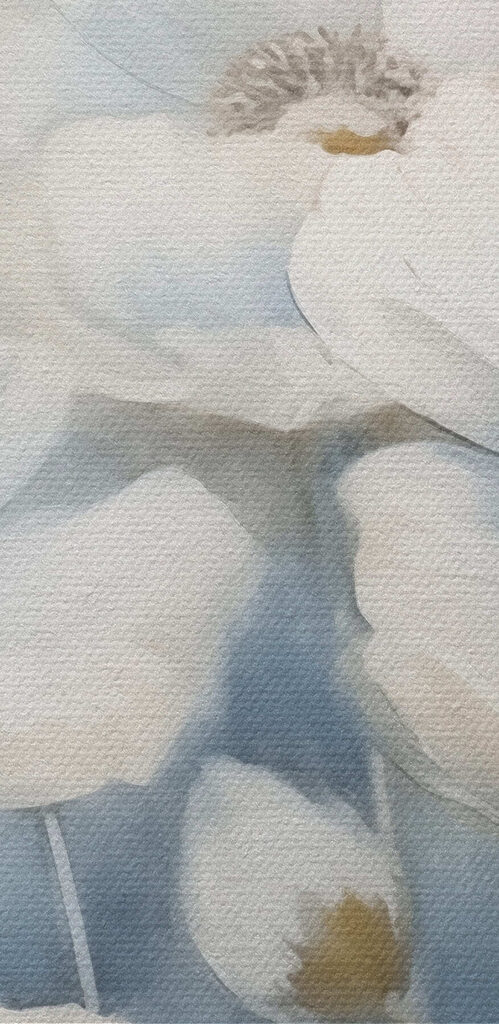 Painting of white flowers Painting of white flowers