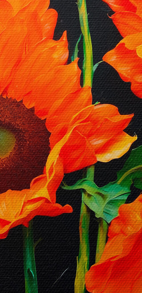 Group of orange flowers