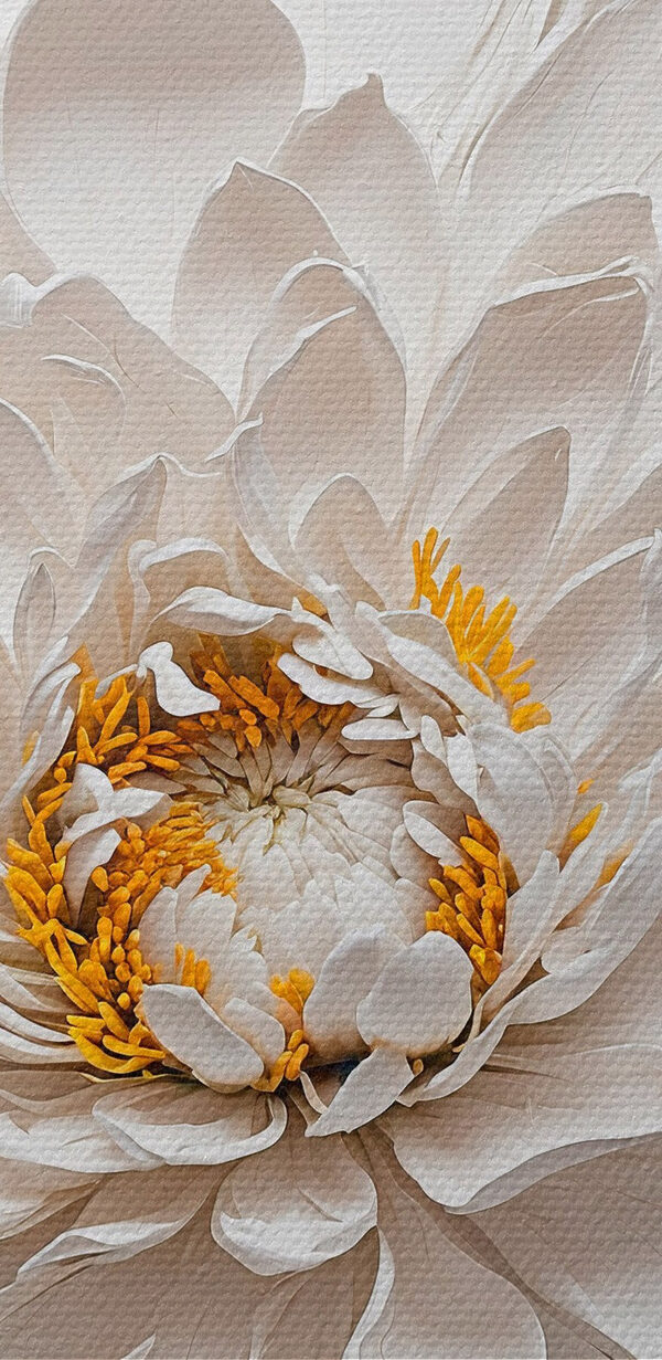 White flower with yellow center White flower with yellow center
