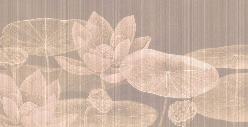 Delicate blooms on tranquil waters