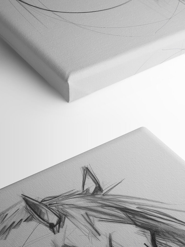 Drawing of a horse Drawing of a horse