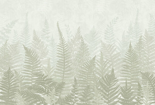 Fern leaves in a foggy environment