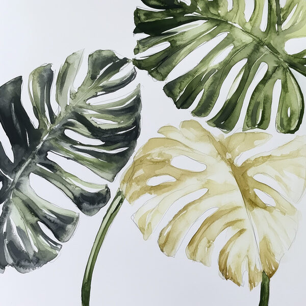 Group of leaves on a white background Group of leaves on a white background