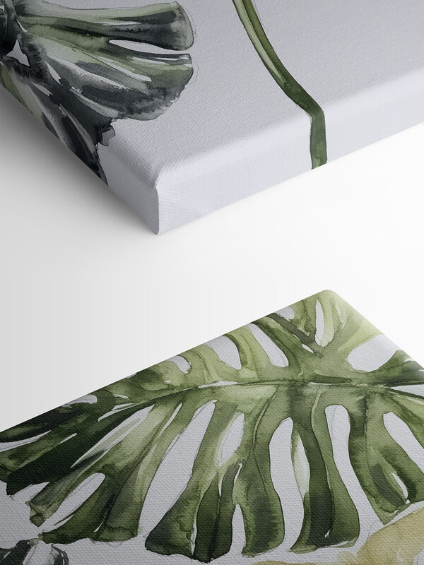 Group of leaves on a white background Group of leaves on a white background