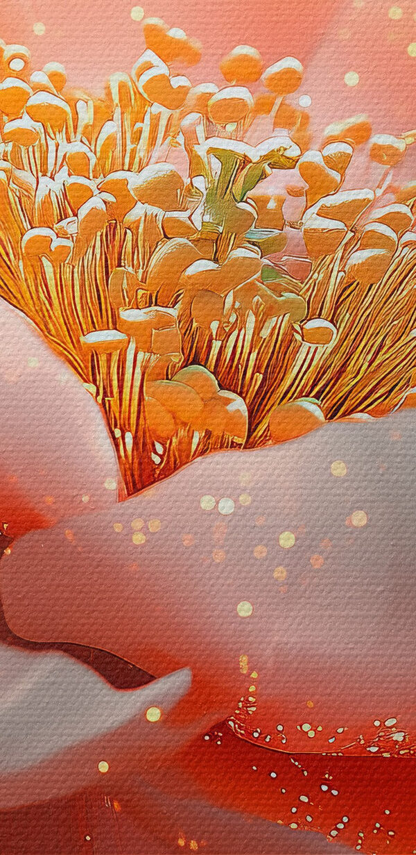 Delicate petals in soft hues