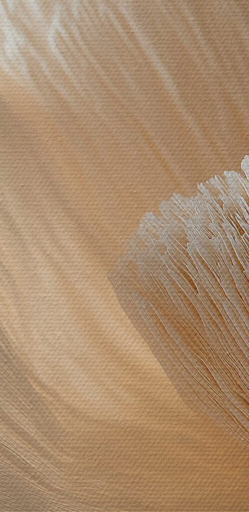 Delicate textured flower petals displayed