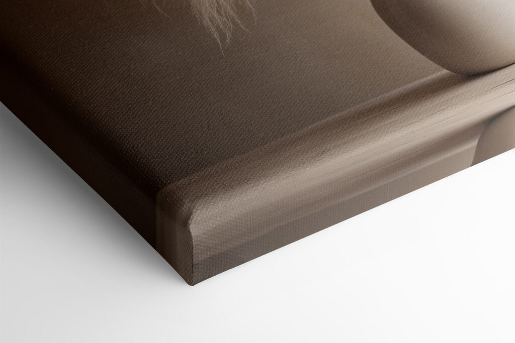 White vase with fluffy flowers