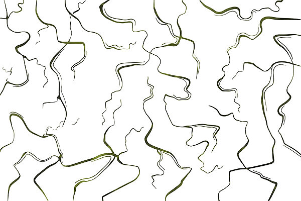 Flowing lines on a white canvas Flowing lines on a white canvas