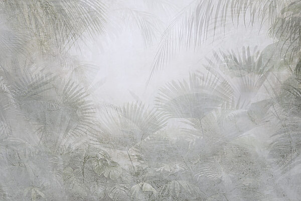 Foggy background with palm trees