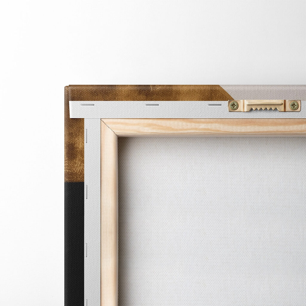 Abstract circles in contrasting colors