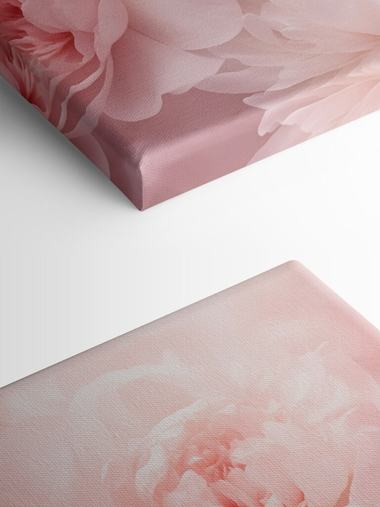 Group of pink flowers