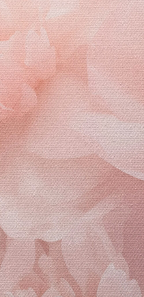 Group of pink flowers