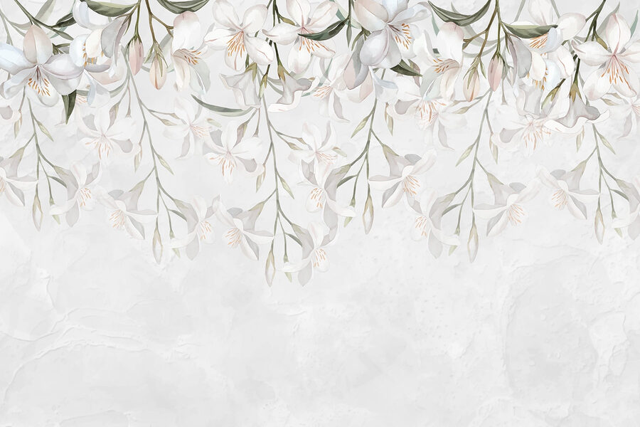 White flowers on a white background White flowers on a white background