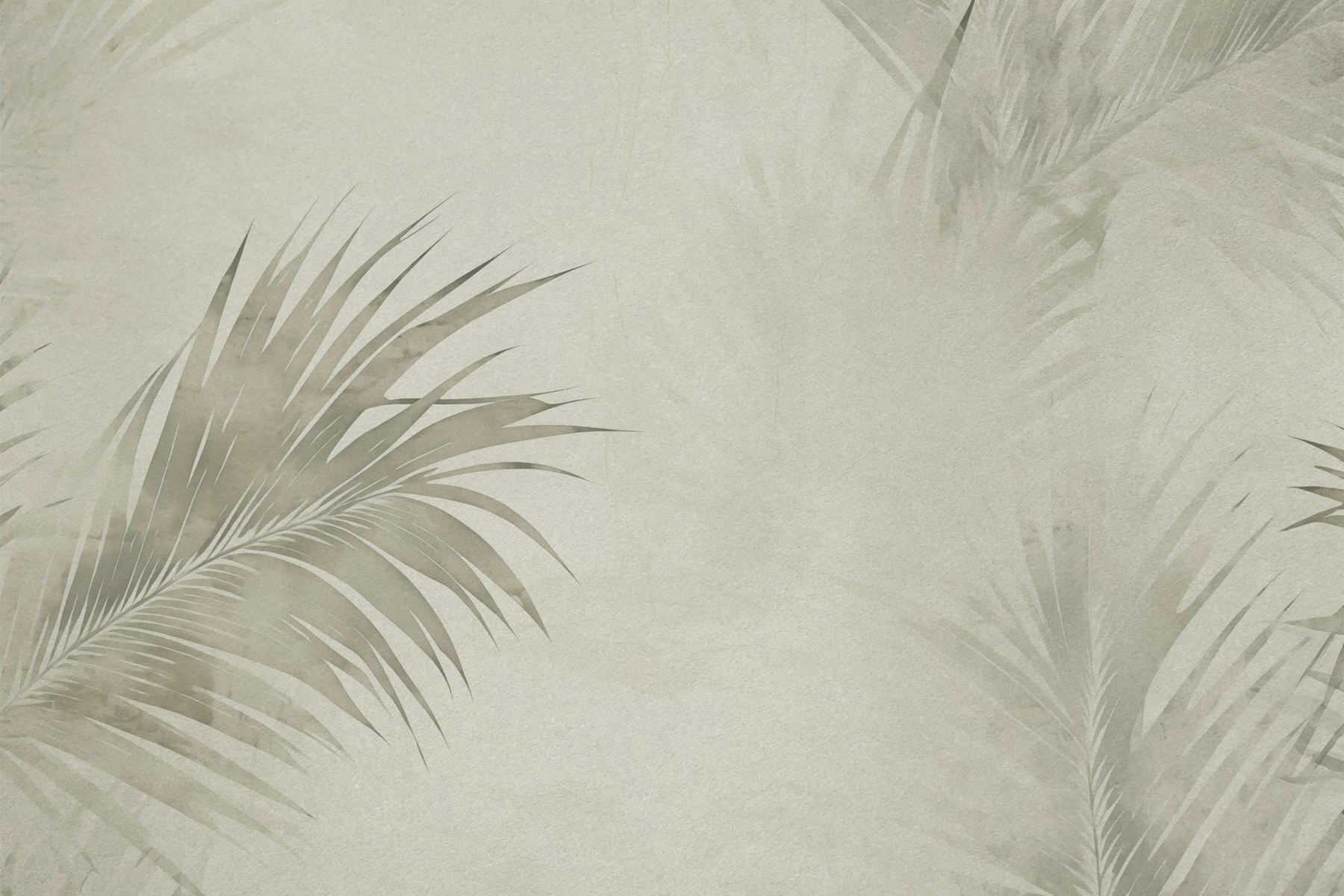 Soft palm leaves on a muted background Soft palm leaves on a muted background