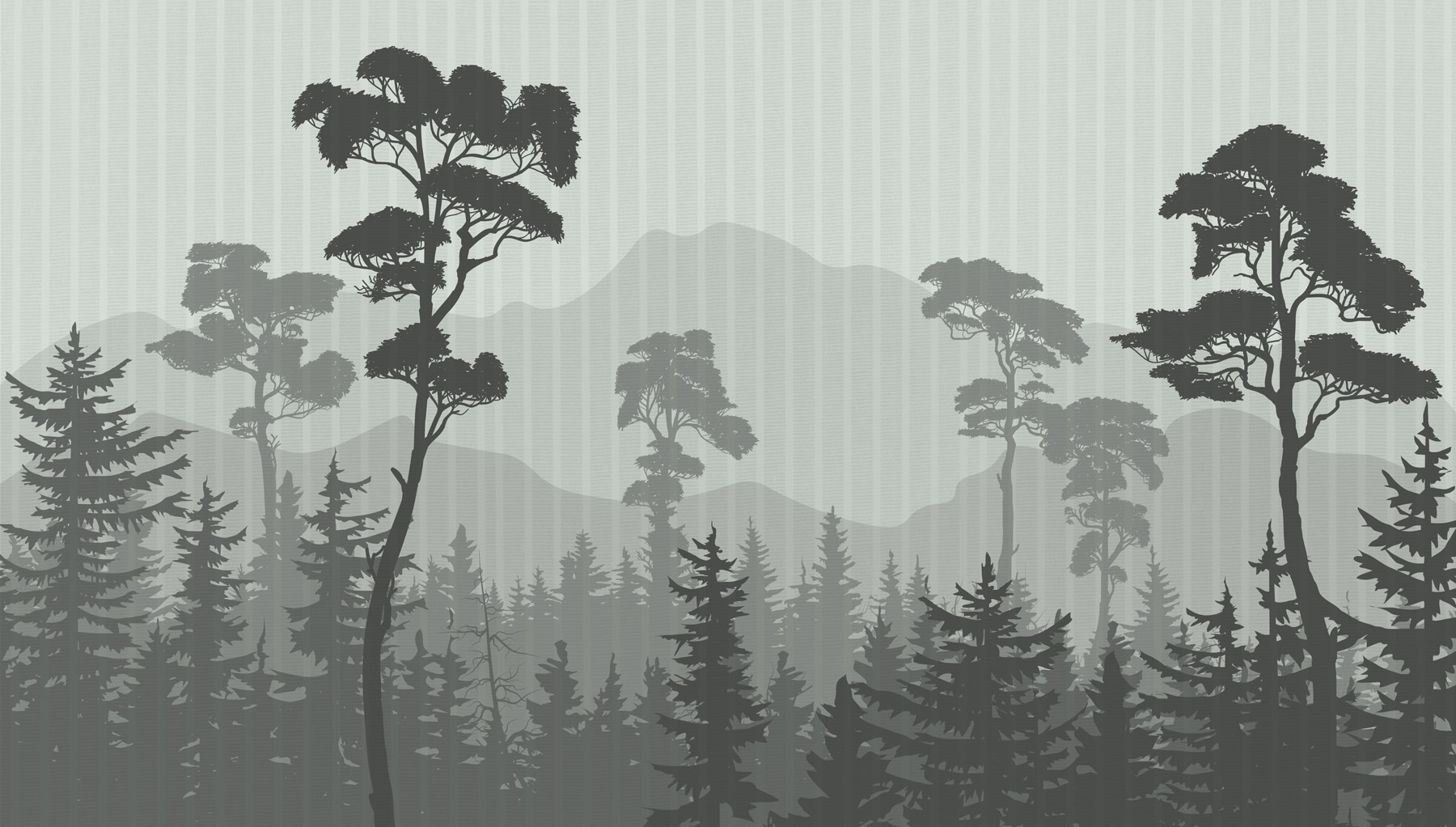 Forest with mountains and trees