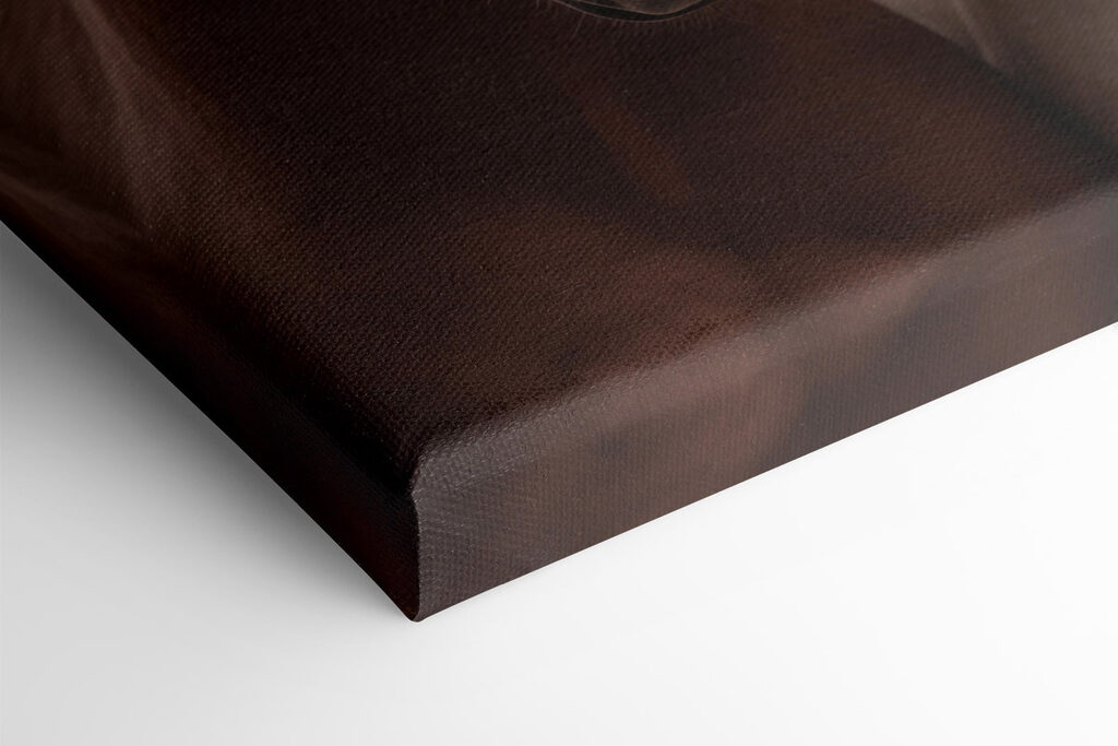 Two horses with their heads together