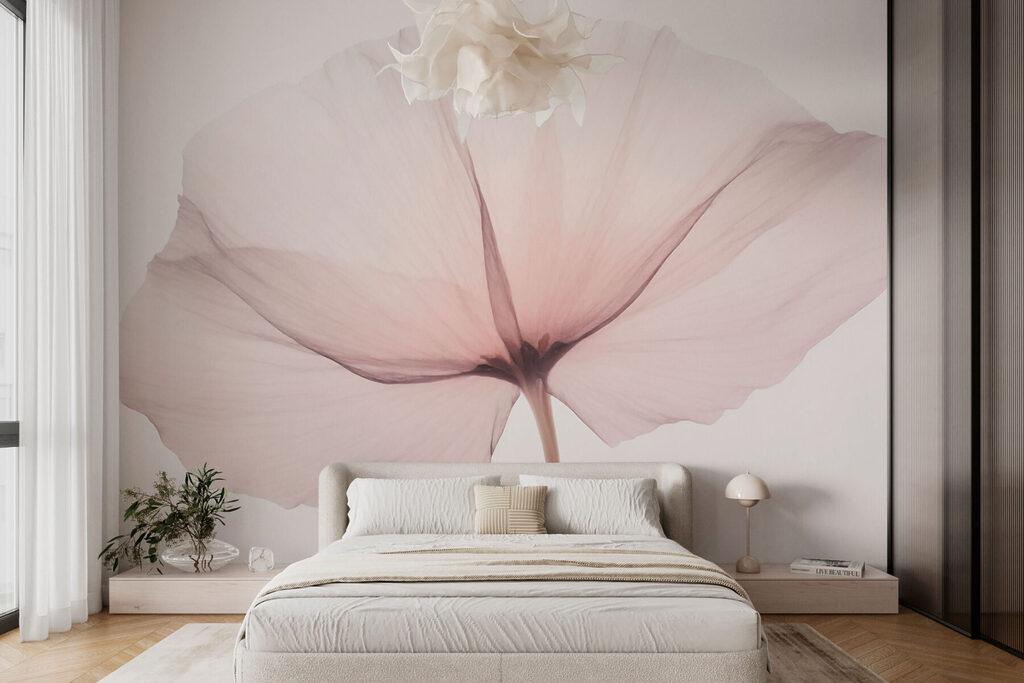 Delicate bloom on a soft backdrop Delicate bloom on a soft backdrop