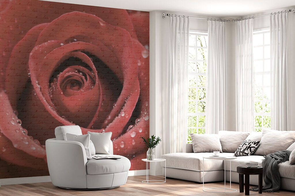 Delicate petals adorned with droplets Delicate petals adorned with droplets