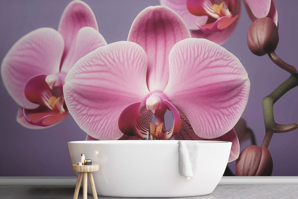 Delicate orchids in soft hues Delicate orchids in soft hues