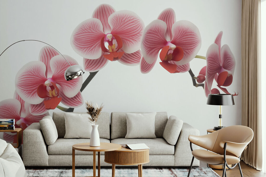 Delicate orchids in gentle bloom Delicate orchids in gentle bloom