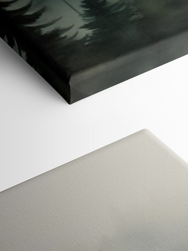 Group of trees in a forest