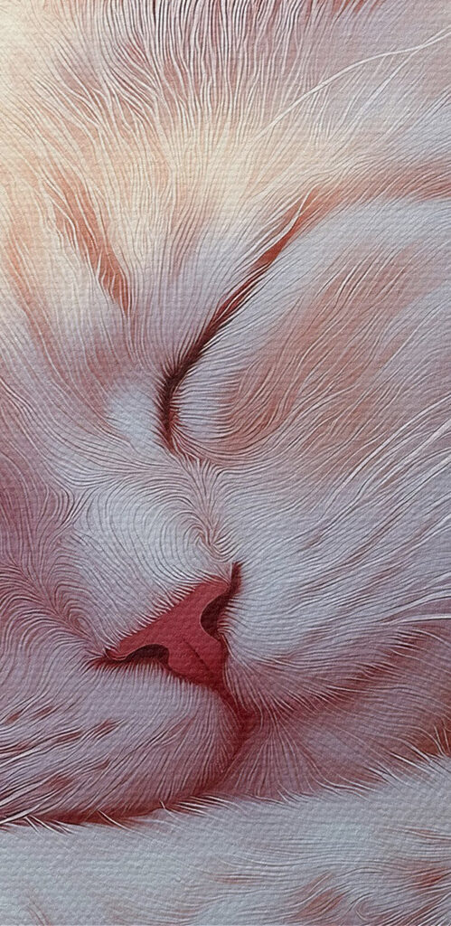 Cat sleeping in a flower bed Cat sleeping in a flower bed