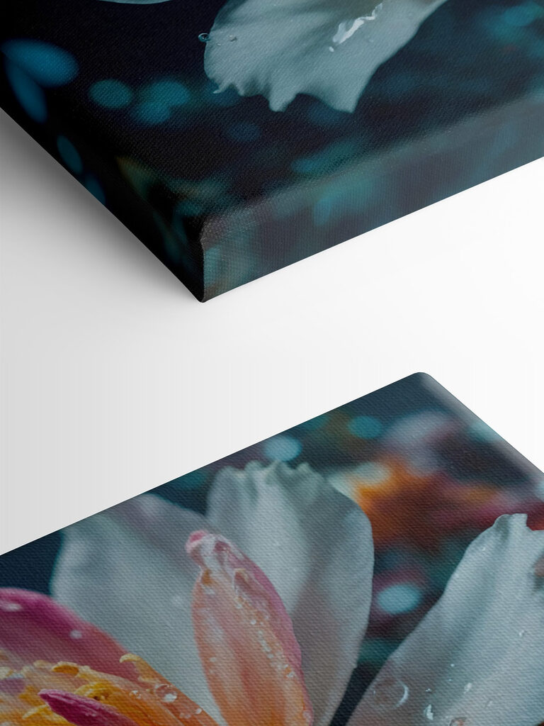 Delicate petals in tranquil waters